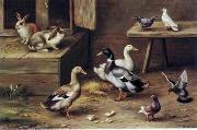 unknow artist poultry  174 oil painting on canvas